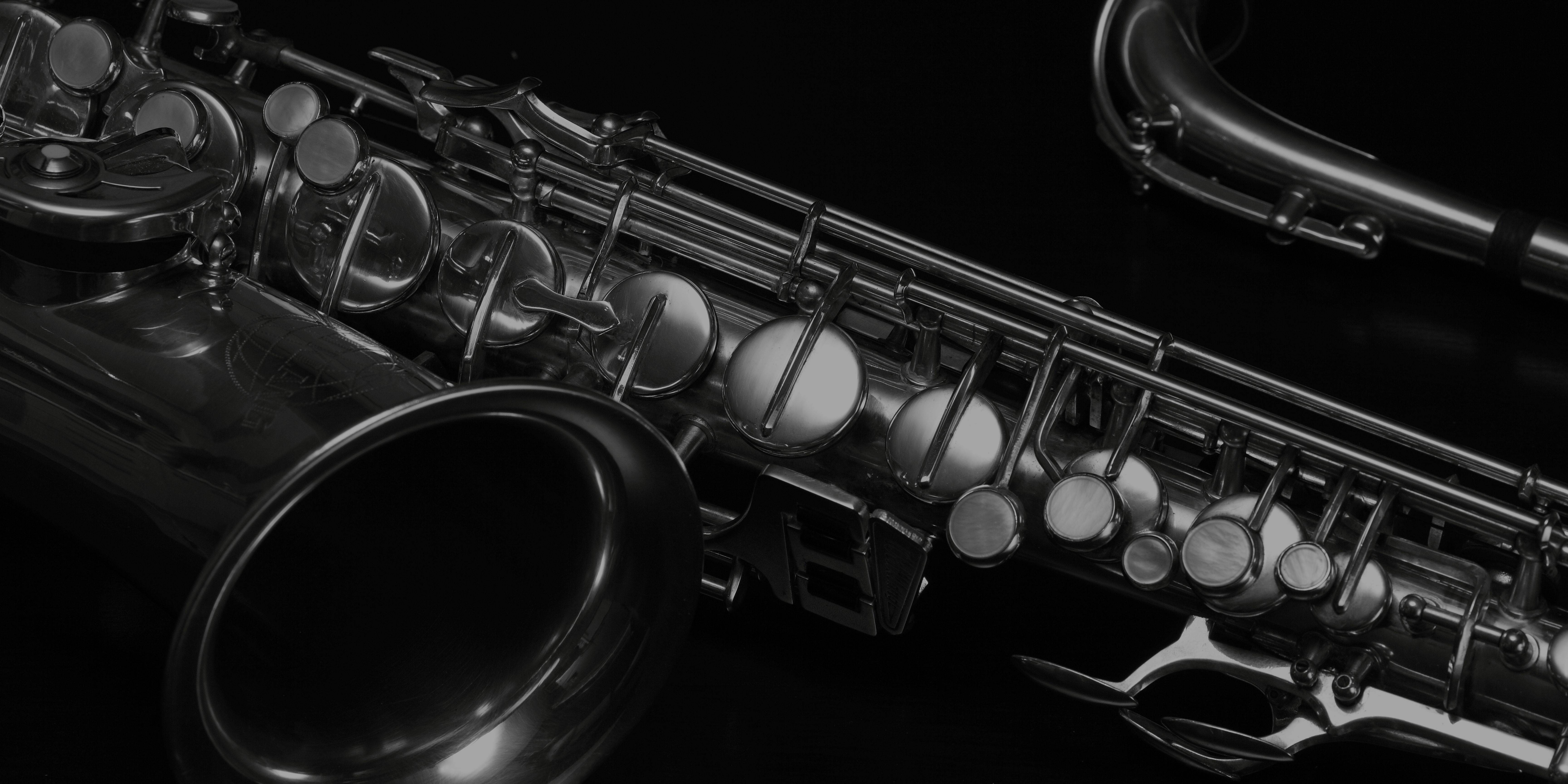 Lofi Loops & Horn Samples